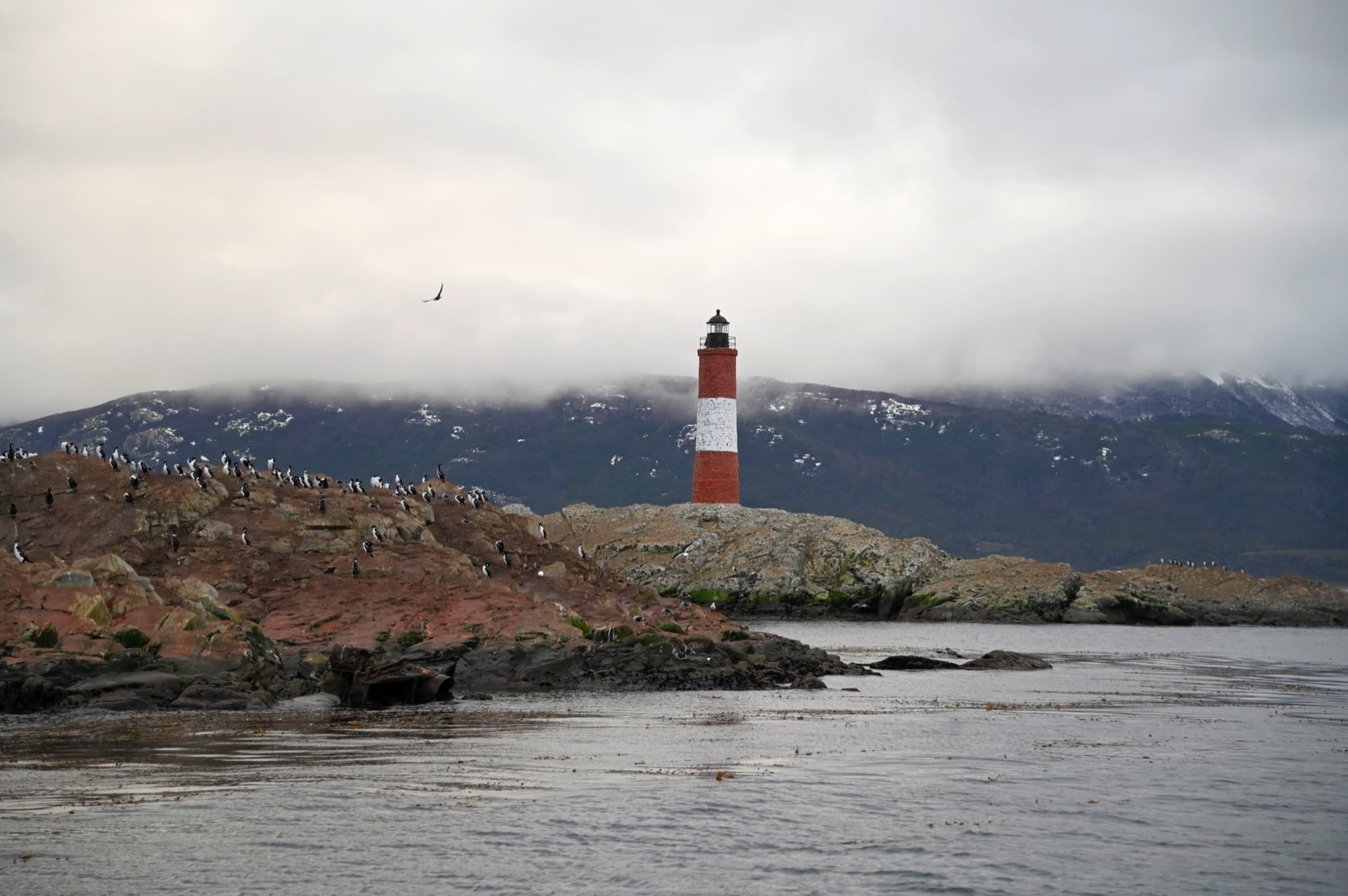 Faro Les Éclaireurs con cormoranes en el canal Beagle